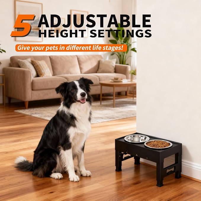Elevated Dog Bowls with 2 Stainless Steel Bowls, 5-Height Adjustable Stand (3.1", 9" to 12"), for Improved Digestion & Neck Support, Easy Clean, Non-Slip Base Raised Feeder for Medium Large Dogs - Image 2