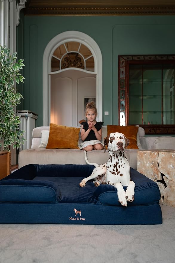 NOAH & PAW XL Dog Bed, 45x35x11 Inch, Orthopedic Large Dog Beds, Eggshell Memory Foam Infused with Cooling Gel, Inner Cover, Water Resistant, Machine Washable (Denim Sofa Collection) - Image 3