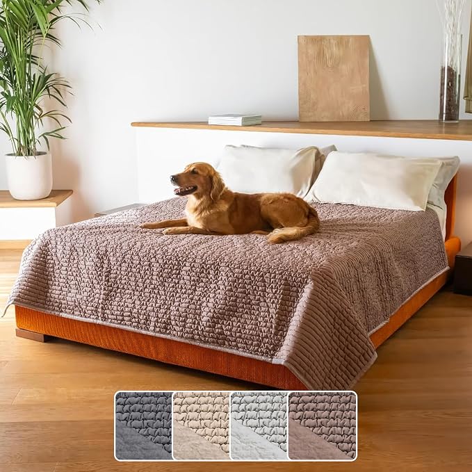PAULATO BY GA.I.CO. Waterproof Blanket for Bed – King Absorbent Couch Cover – Machine Washable Stain-Resistant Pad for Large Sofa – Pets Cat & Dog Friendly Furniture Protector - Soft Taupe by PAULATOBYGAICO