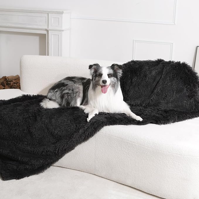 gogobunny Waterproof Dog Blanket for Couch & Furniture Protection - Super Soft Reversible Throw for Large Dogs & Cats, Calming Washable Fur & Sherpa Pet Blanket (33x77 Inch, Black) by gogobunny