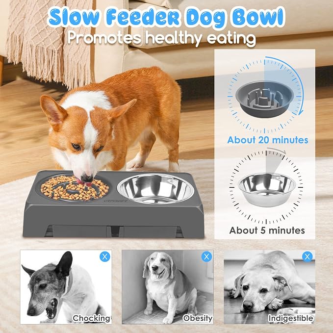 URPOWER Raised Dog Bowls 4 Height Adjustable Elevated Bowl Stand | Stainless Steel Water Bowl Non-Slip Dog Food Bowls Stand for Small Medium Large Dogs and Pets - Image 4