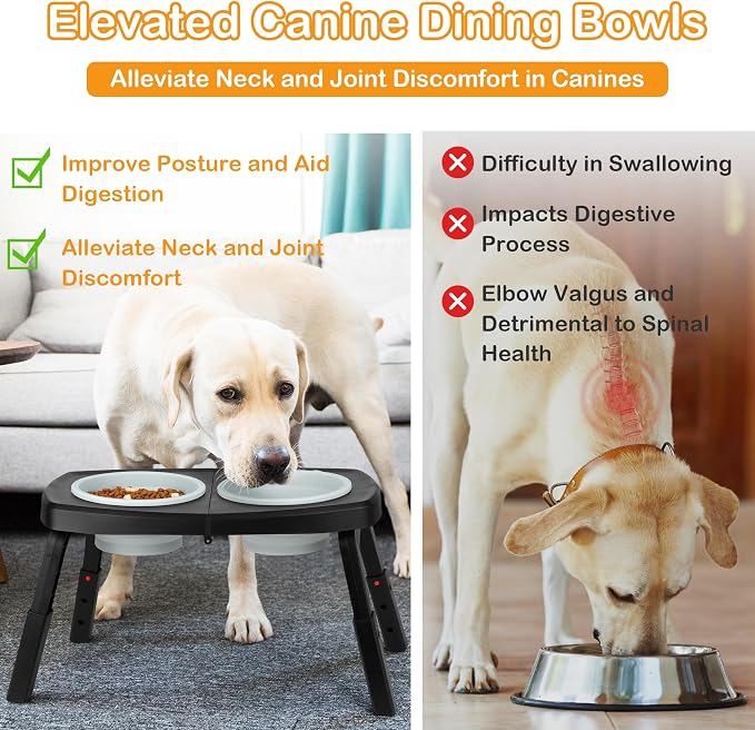 Adjustable Elevated Dog Bowls Stand – 4-Level Height Portable Feeder with Collapsible Silicone Bowls, Non-Slip Base for Medium & Large Dogs – Travel Dog Bowl & Water Dish - Image 3