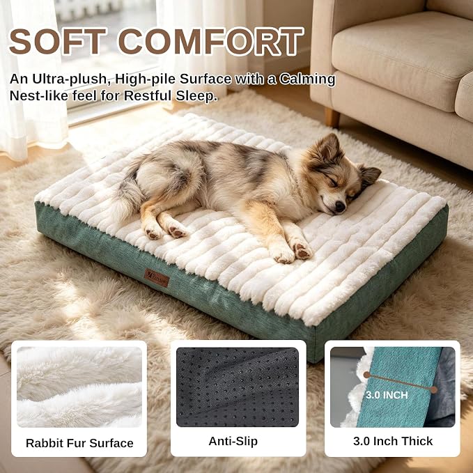 Orthopedic Dog Bed for Medium Dogs,Firm Egg Crate Foam,Nonslip Bottom,Green | Soft Plush Surface,Removable Machine Washable Cover,Ideal for Crates & Small Spaces,Designed for Joint Support,,29"x18"x3" - Image 3