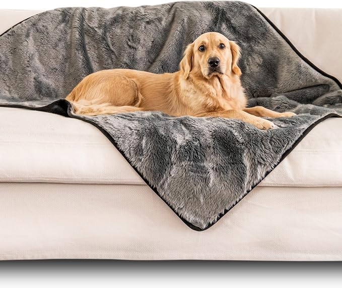 PAW BRANDS PupProtector Waterproof Throw Blanket, Dark Grey, 60x50 | Waterproof, machine washable — protects couches, beds & car seats by PAWBRANDS