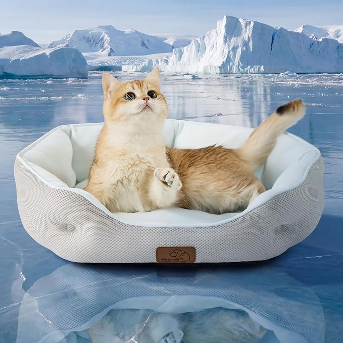 Bedsure Cooling Small Dog Bed, Round Washable, 20Inch Arctic Cooling Blue | Q-Max>0.4 Cat Beds for Indoor Cats, Comfort Cooling Summer Pet Bed,Anti-Slip Bottom,for Puppies and Kittens by Unknown