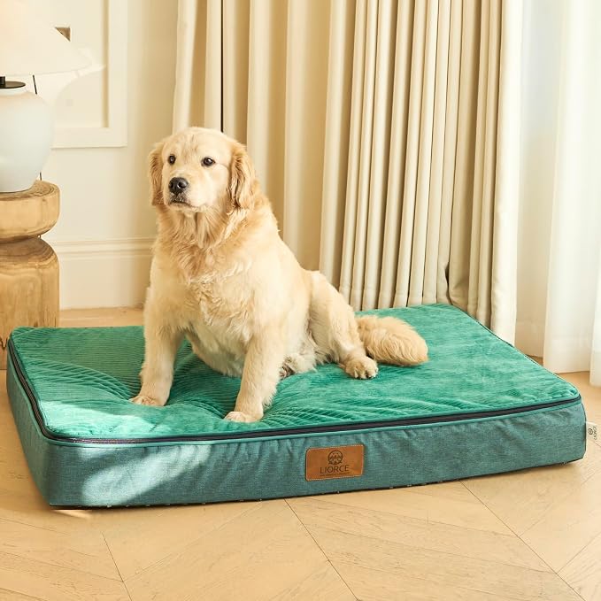 LIORCE Orthopedic Memory Foam XXL Dog Bed - 6" Thick Beds for Extra Large Sized Dog - Waterproof Removable Washable Cover & Wrap-Around Zipper - Ultimate Comfort & Easy Maintenance, Green - Image 4
