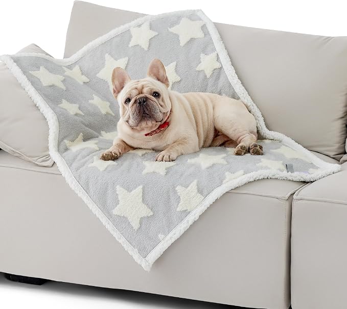 LE SURE Waterproof Dog Blankets for Medium Dogs Cute 3D Jacquard,30x40 | Puppy Blanket for Cat Aesthetic Gift, Warm Soft Sherpa Throw Washable, Reversible Pet Couch Protector, Galaxy Grey - Image 2