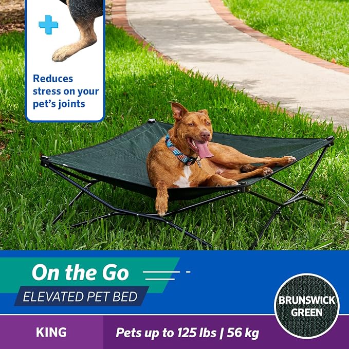 Coolaroo On-The-Go Elevated Dog Bed - Foldable Pop-Up Travel Dog Bed with Breathable, Moisture-Resistant Fabric, Carry Bag Included, Lightweight & Portable, Brunswick Green, Extra Large - Image 3