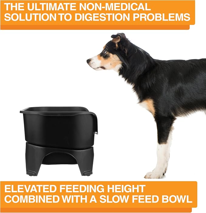 Neater Feeder - Express Model w/ Slow Feed Bowl - Mess-Proof Dog Bowls (M/L, Black) Made in USA – Elevated, No Spill, Non-Tip, Non-Slip, Raised Stainless Steel Food/Water Pet Bowls Aid Digestion - Image 7
