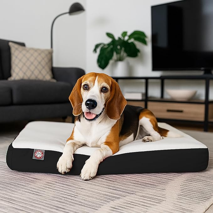 Majestic Pet 34x24x3 Inch Black Orthopedic Memory Foam Rectangle Dog Bed – Medium Size Crate Dog Bed for Dogs with Joint Pain, Arthritis – Durable Pet Mattress with Egg Crate Foam, Washable Cover - Image 8