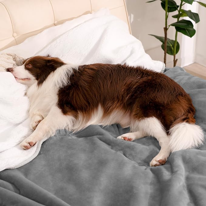 gogobunny Waterproof Bed Blanket, Reversible Sherpa Fleece Throw Blanket for Dog Puppy Cat, Furniture Cover Protects Bed Couch Sofa from Liquid Pee and Pet Fur (Grey, 25x35 inches) - Image 6