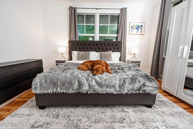 PAW BRANDS PupProtector Waterproof Throw Blanket, Charcoal Grey, 80x62 | Waterproof, machine washable — protects couches, beds & car seats - Image 3