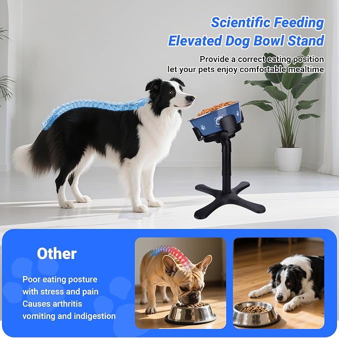 Dog Bowls,Elevated Adjustable Dog Bowl Stand with 3 Heights & Tilted Feeding Design, Raised Stand Compatible with Medium & Large Breeds(2 Pack) Black - Image 3