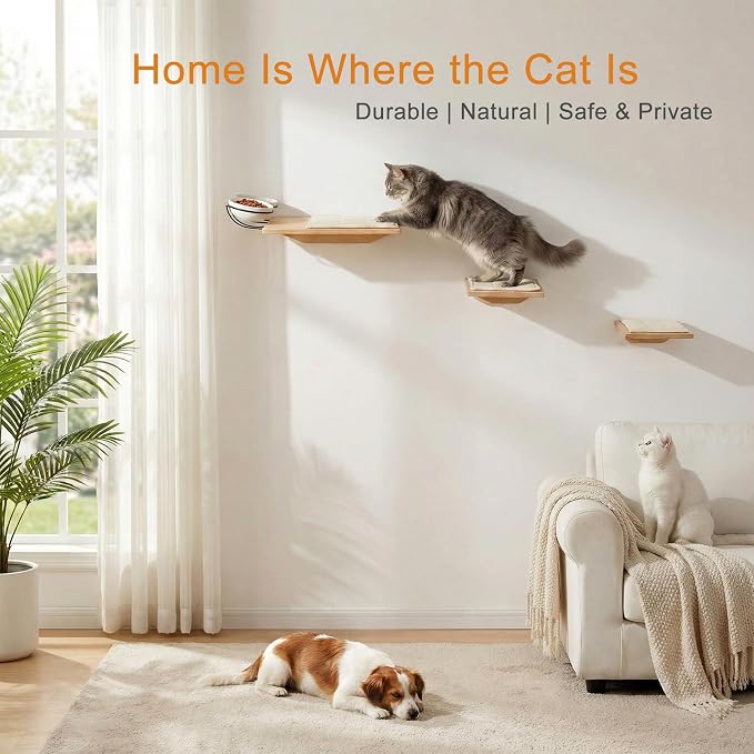 Wall Mounted Cat Shelves with Elevated Ceramic Feeding Station–Scandinavian Floating Design, Solid Plywood, Two Climbing Steps with Cotton Mats, Modern Cat Wall Furniture Set 300 ml Bowls - Image 3
