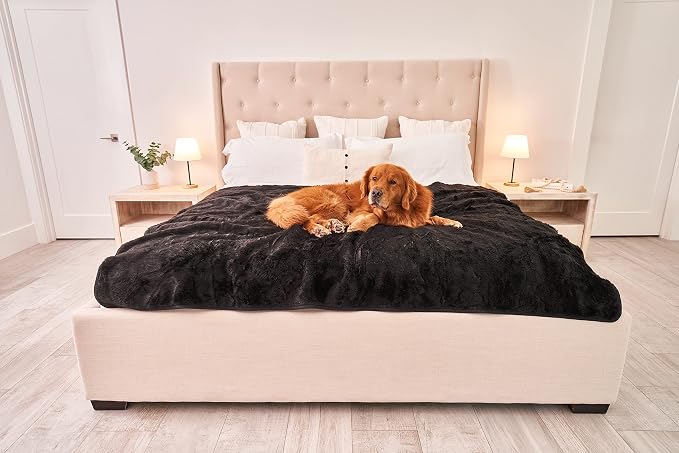 PAW BRANDS PupProtector Waterproof Throw Blanket, Midnight Black, 80x62 | Waterproof, machine washable — protects couches, beds & car seats - Image 7
