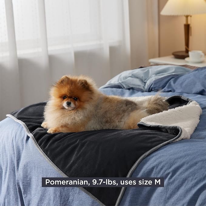 Bedsure Waterproof Dog Blankets for Medium Dogs Washable Soft Warm, 30"X40" | Plush Sherpa Fleece Cat Puppy Blanket for Couch Protector, Reversible Cozy Calming Throw for Pet Indoor,Black - Image 9
