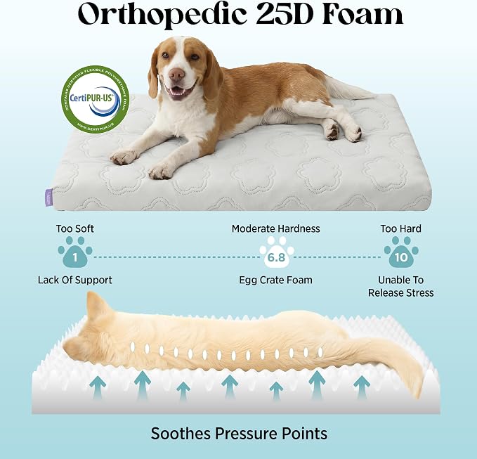 LE SURE ApexCloud™ Small Cooling Dog Bed with Washable Cover, 23x17 Inch | Q-Max>0.5 Cool-Touch Fabric, Orthopedic Egg Crate Foam,Breathable Non-Slip Summer Mat,For Active Senior Long-Haired Pets,Grey - Image 6