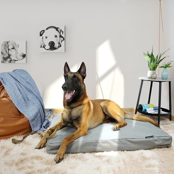 Explore Land Waterproof Dog Bed Cover Canvas Washable Dog Crate Pad Replacement Cover for 36 Inch Crate, 34Lx22Wx3.5H inch, Gray - Image 2