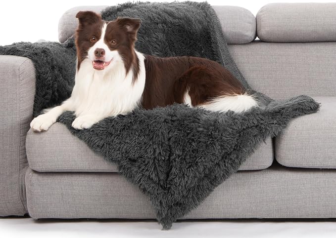 gogobunny Waterproof Dog Blanket for Couch & Furniture Protection - Super Soft Reversible Throw for Large Dogs & Cats, Calming Washable Fur & Sherpa Pet Blanket (40x50 Inch, Grey) by gogobunny