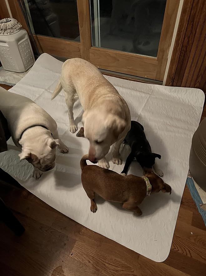 Midlee Reusable Washable Dog Pee Pads XL 60"x72" – Pack of 3 | Waterproof Puppy Training Pads, Whelping Mat, Incontinence Pad for Large Dogs - Image 4