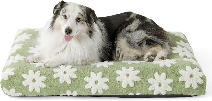 LE SURE Cute Aesthetic XL Dog Bed for Crate,Jacquard Thick Pet Pillow44x32 | Shredded Chopped Foam,Modern Plush Crate Cushion Gift for Extra Large Dog, Waterproof Washable Cover, Anti Slip Bottom, Green by Lesure