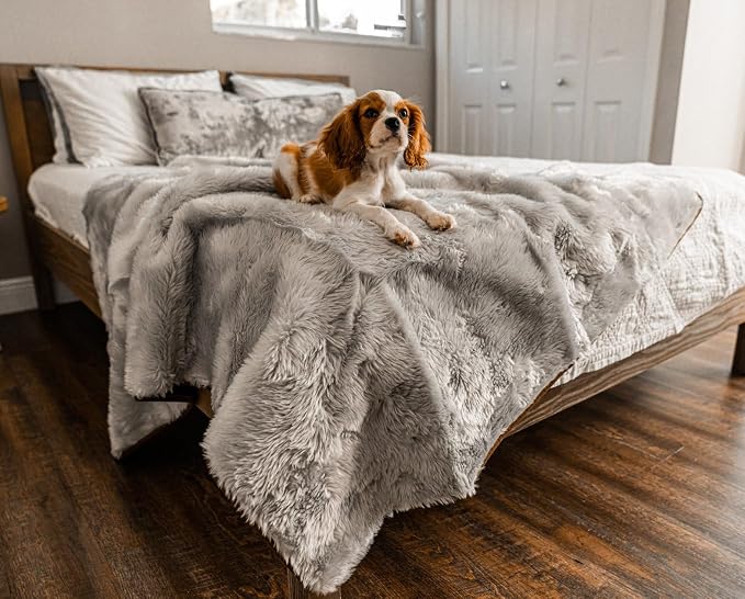 PupProtector Waterproof Throw Blanket for Dogs and Cats, Pet Blanket Cover for Couches, Sofas, Beds, Car Seats, Furniture, Calming Soft Faux Fur, Short Grey, Large (80" L x 62" W) | Waterproof, machine washable — protects couches, beds & car seats - Image 4