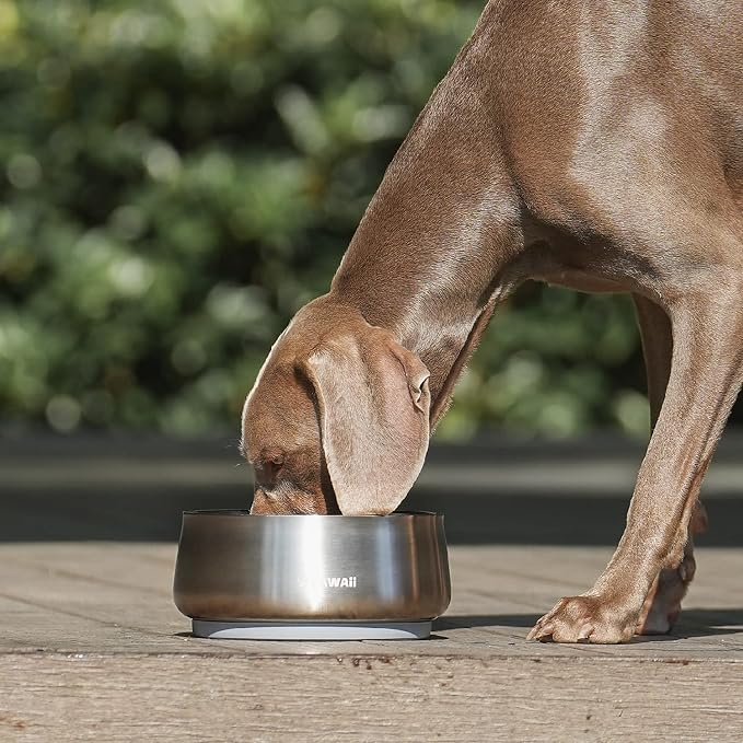 Pawaii Dog Bowl,68 oz Stainless Steel Food and Water Bowl,ID Tag,1 Pack | Double-Wall Design,Non-Slip Rubber Base,Dishwasher Safe,Smooth Open Design, Not a Slow Feeder,Easy-Rinse Interior - Image 9