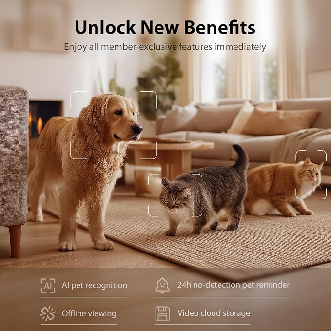 IMIPAW Automatic Cat Feeder with Camera - AI Pet Recognition & Recording, Night Vision, 5G WiFi APP Remote Control, Two-Way Audio & Desiccant Bag, Timed Programmable Food Dispenser for Small Pets - Image 7