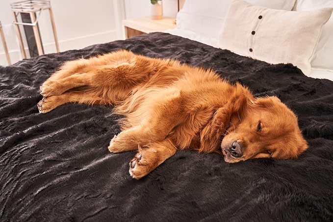 PAW BRANDS PupProtector Waterproof Throw Blanket, Midnight Black, 80x62 | Waterproof, machine washable — protects couches, beds & car seats - Image 2