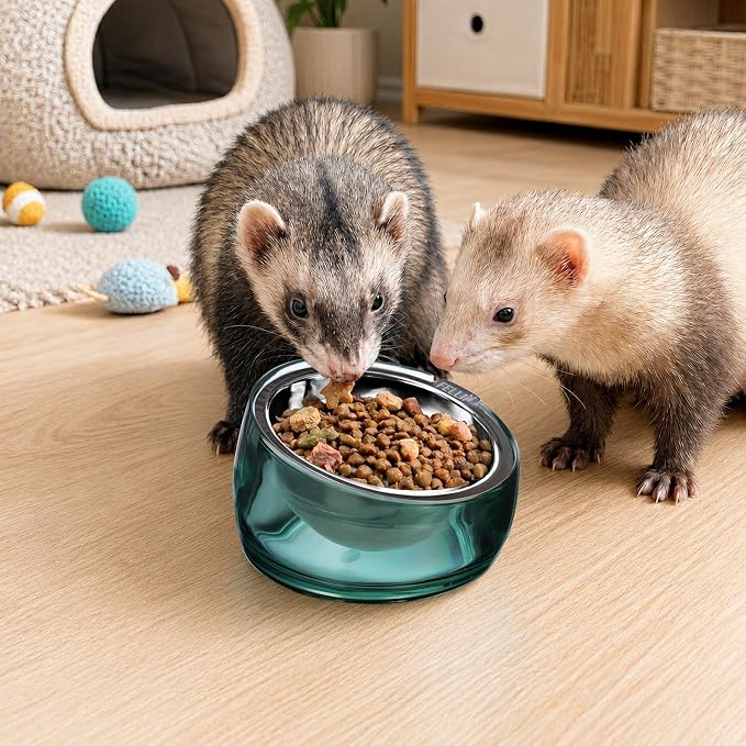 Felli Oblik 15° Tilted Small Animal Bowls for Pet Food & Water 6 oz Stainless Steel Dish Removable, Slanted Metal Plate Feeder for Kitten Puppy Rabbit Bunny Guinchilla Pig (0.75 Cups, Classic) - Image 5