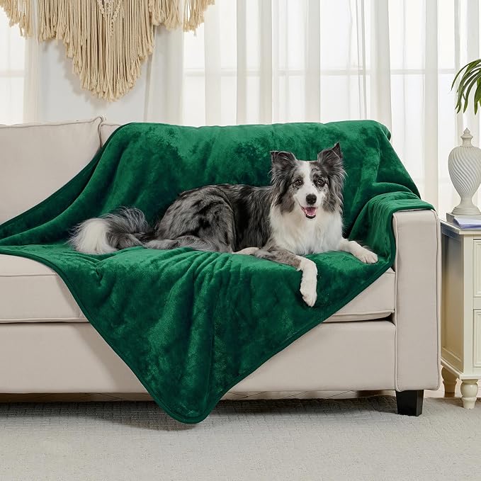 Waterproof Blanket for Bed Couch Sofa, Soft Liquid Pee Proof Pet Blanket for Dog Puppy Cat, Reversible Sherpa Fleece Furniture Protector (Green, 60x80 inches) - Image 2
