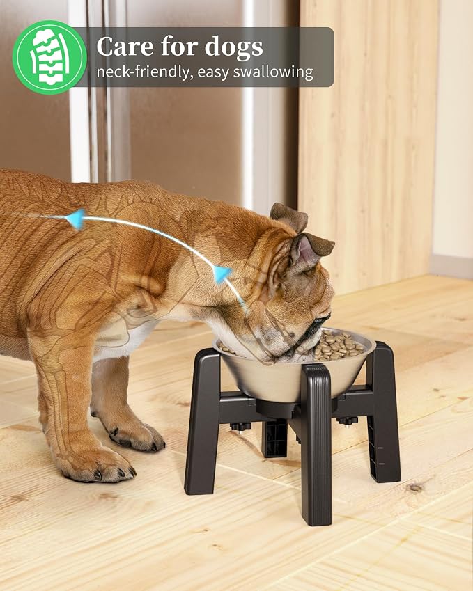 CZPET Dog Bowl Stand, 51 oz Large Capacity Stainless Steel Feeder (2 Pack) | Elevated Pet Water & Food Bowl for Medium Dogs, Stable and Anti-Slip Raised Bowl - Image 9