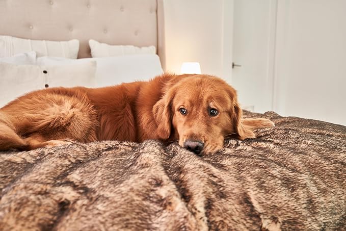 PAW BRANDS PupProtector Waterproof Throw Blanket, Sable Tan, 80x62 | Waterproof, machine washable — protects couches, beds & car seats - Image 3