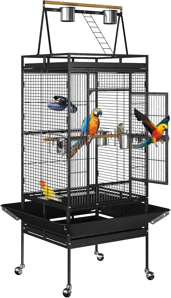 Nova Microdermabrasion 68-Inch Height Wrought Iron Standing Large Play Top Bird Cage for African Grey Small Quaker Parrot Cockatiel Sun Parakeet Green Cheek Conure Dove Budgie Lovebird by NovaMicrodermabrasion