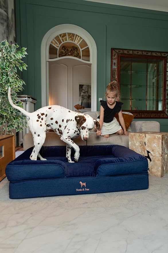 NOAH & PAW XL Dog Bed, 45x35x11 Inch, Orthopedic Large Dog Beds, Eggshell Memory Foam Infused with Cooling Gel, Inner Cover, Water Resistant, Machine Washable (Denim Sofa Collection) - Image 9