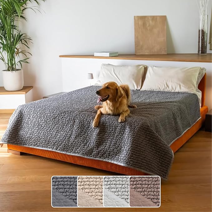 PAULATO BY GA.I.CO. Waterproof Blanket for Bed – Queen Absorbent Couch Cover – Machine Washable Stain-Proof Pad for Large Sofa – Pets Dogs & Cats Friendly Protector - Dark Grey by PAULATOBYGAICO