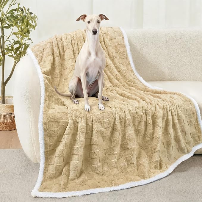 Luciphia Waterproof Dog Blanket, Reversible Fleece & Sherpa, Couch Cover | Soft plush fluffy, washable, puppy, cat, dog bed, crate, car seat, sofa, throw, furniture protector,Yellow,Large (65" x 57") by luciphia
