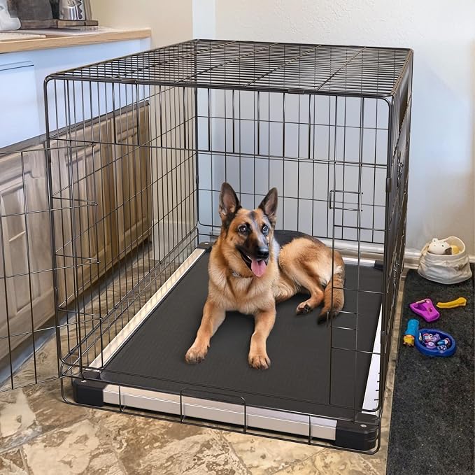 FXW TitanNest Chew-Proof Elevated Dog Bed, Raised Cot for Indoor/Outdoor/Camping Use, Durable & Washable Padded Pet Bed for Large Dogs, 47.0" L x 29.0" W x 7.3" H, Black - Image 3