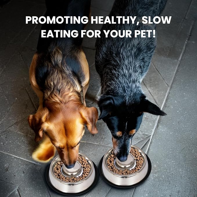 Iconic Pet Set of 2 Stainless Steel Non-Skid Slow Feed Bowls for Large Dogs (48 oz) - Ideal for Food and Water, Durable Design with Raised Center - Image 5
