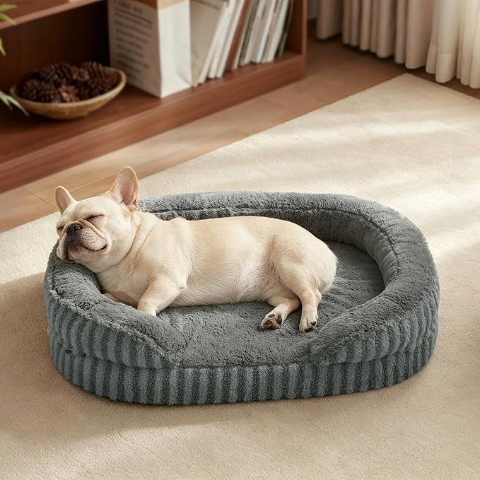 MIXJOY Orthopedic Dog Beds Medium Sized Dog,Medium Waterproof Oval Dog Bed with Removable Washable Cover,Egg-Crate Foam Big Pet Bed Couch Sofa with Bolster Sides,Non-Slip Bottom,M 28"X23",Grey by MIXJOY