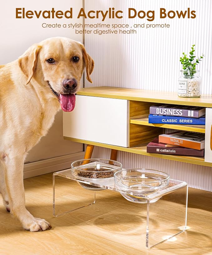 Acrylic Elevated Dog Cat Bowls Pet Feeder Double Bowl Raised Stand Comes with 2 Removable Glass Bowls and 2 Stainless Steel Bowls.Perfect for Large Dogs, 7.2" Tall - Image 6