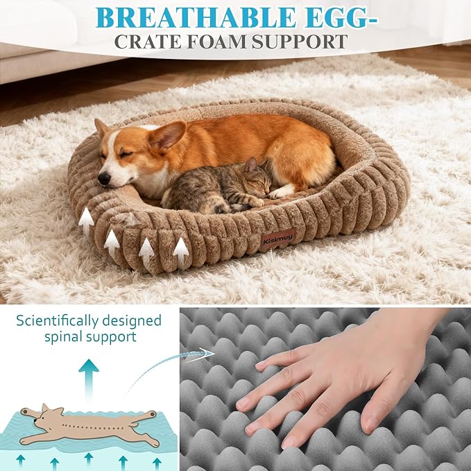 Orthopedic Dog Bed, Hip & Joint Support Medium Size Dog Crate Pad | 30L x 24W x 5H, Egg-Crate Memory Foam, Washable Cover, Low Front Entry, Non-Slip Bottom, Medium Dog Bed, Brown - Image 3
