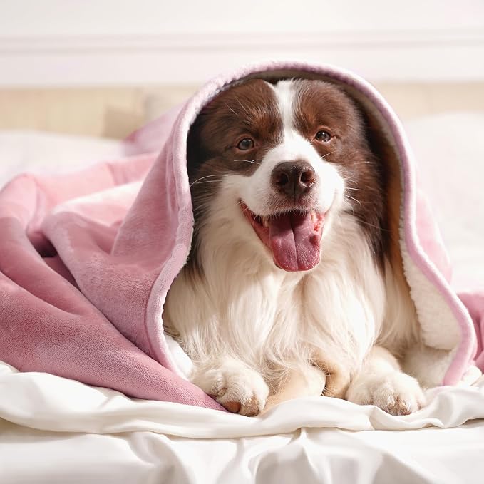 gogobunny Waterproof Bed Blanket, Reversible Sherpa Fleece Throw Blanket for Dog Puppy Cat, Furniture Cover Protects Bed Couch Sofa from Liquid Pee and Pet Fur (Pink, 50x60 inches) - Image 9