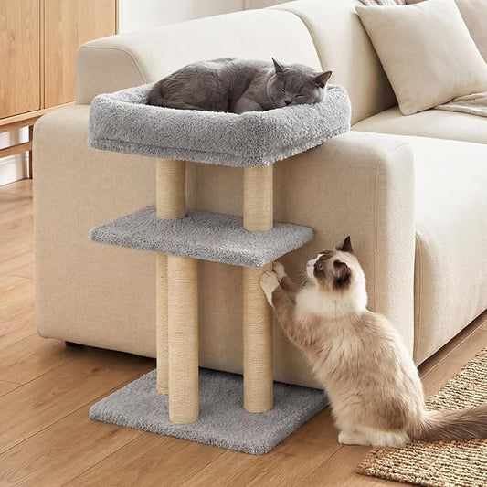 Veehoo Cat Perch with Cat Scratching Post, Couch Corner Protector for Cats | Tall Scratch Post with Cats Bed for Indoor Cats, Size S Fits 23"–24" High Sofa Armrest by Veehoo