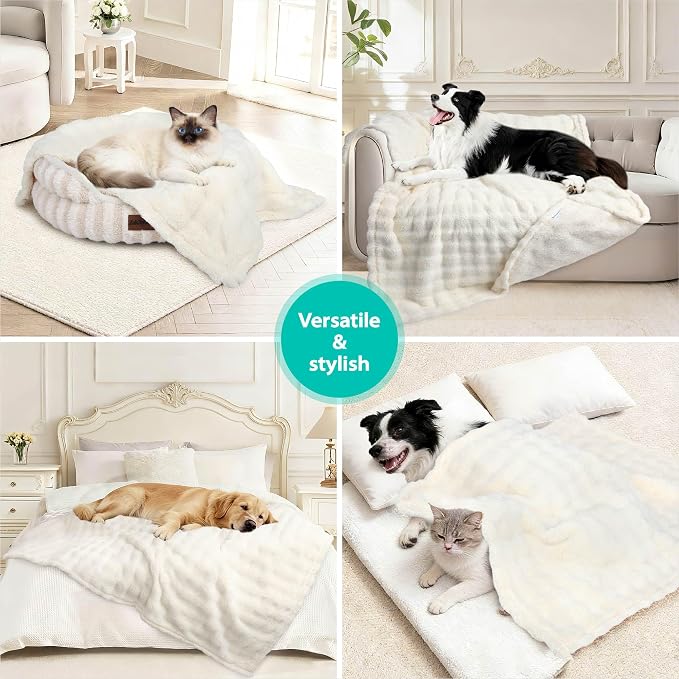 Dog Blankets Washable Pet Blanket - Fluffy Fuzzy Cat Puppy Blanket with Premium 300GSM 3D Fleece Bubble for Pet Kitten Doggy, Cream, 30x40IN - Image 5