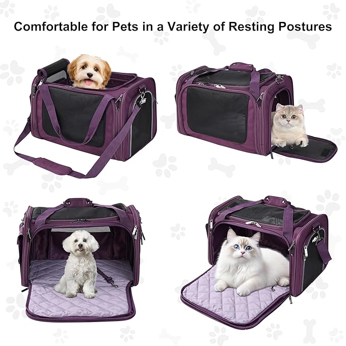 EliteField Deluxe Soft-Sided Pet Carrier (3 Year Warranty, Airline Approved), Travel Bag for Dogs, Cats & Small Pets, with Expandable Mat