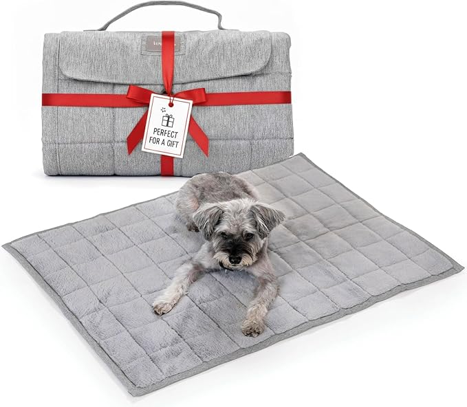 KindTail Nomad Nap Mat - Travel Dog Bed - Machine Washable, Water-Resistant Dog Mat for Pets up to 50 lbs - Lightweight, Portable Pet Bed with Carry Handle - Folds to 14 x 9 x 5 (1.5 lbs, Light Grey) by KindTail