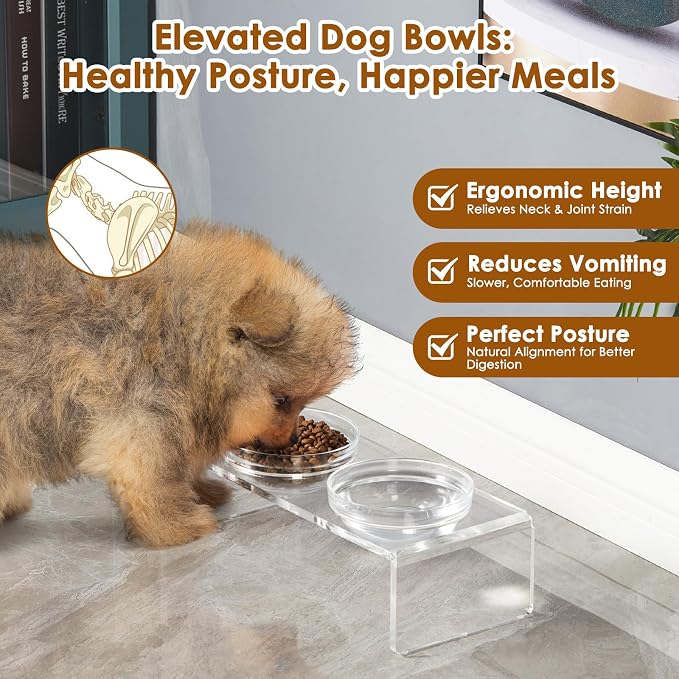 Feoyoho Elevated Acrylic Pet Bowl Stand – Raised Cat & Dog Bowls with 2 Glass & 2 Stainless Steel Bowls, Modern Clear Design, Non-Slip, Easy to Clean, Perfect for Small Pets, 3.75" Tall - Image 4