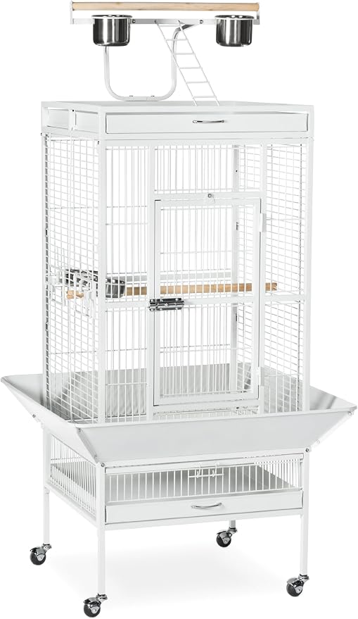 Prevue Pet Products Wrought Iron Select Bird Cage - Large Cage Ideal for Cockatiels, Conures, Quaker Parrots, Parakeets, Lovebirds, & Canaries, Rolling Stand with Wheels - Chalk White by PrevuePetProducts