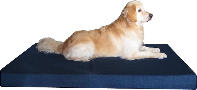 Dogbed4less Jumbo Orthopedic Memory Foam Dog Bed for Large Dogs with Durable Denim Cover, Waterproof Liner and Extra Pet Bed Case, 55X47X4 Inches by Dogbed4less